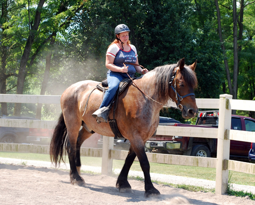 Riding_Girl-2_Heroes-and-Horses