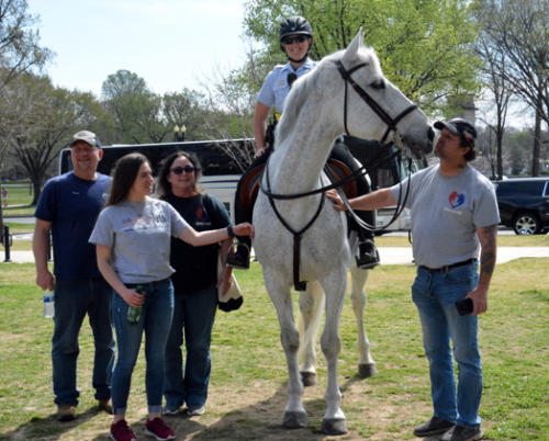 Riding_Girl_Heroes-and-Horses