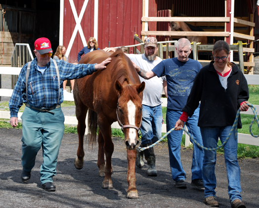 Team_Services_Heroes-and-Horses