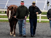 Blind-fold_Heroes-and-Horses